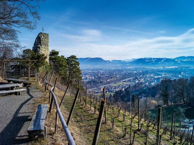 Ruine, Rebberge und Kloster