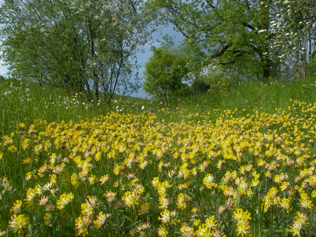 Von Kaien nach St. Anton
