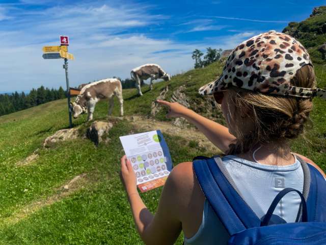 Appenzeller Wanderbingo