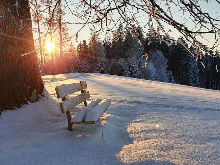 Auf der Lichtung von Höggwald, Stein