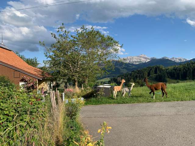 Windegg holiday apartment