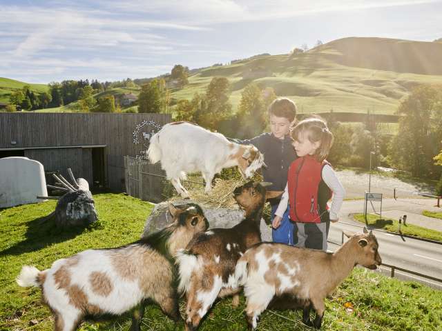 Reka holiday village, Urnäsch