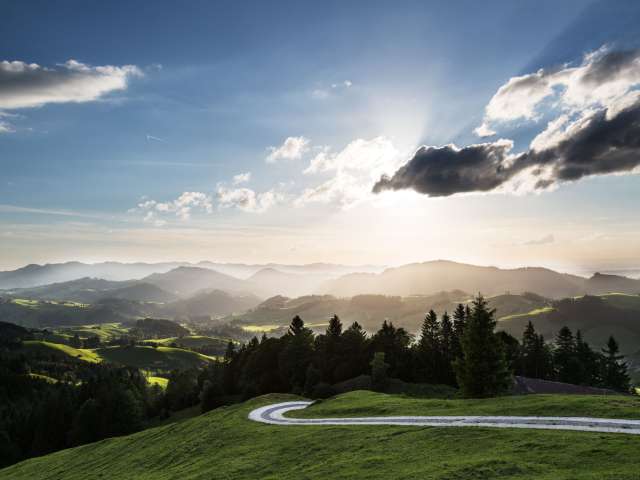 Aussichtsreiche Belohnung
