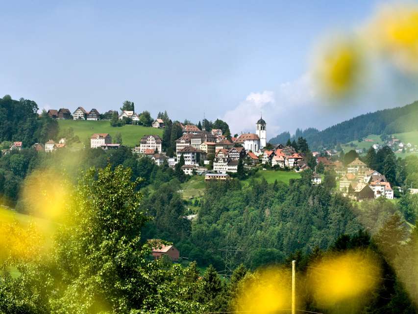 Infos zur Partnerumfrage 2024