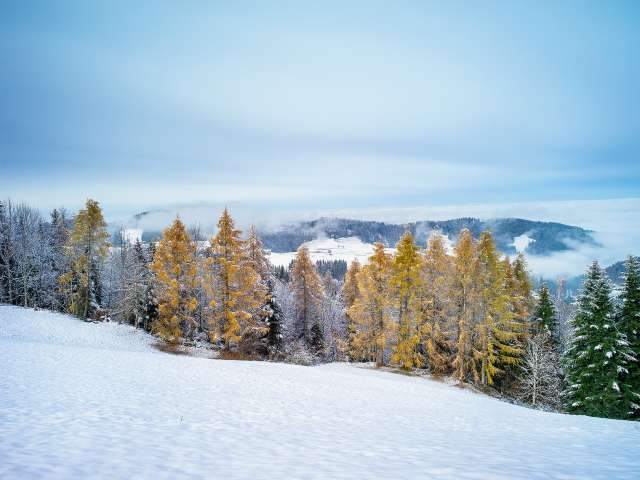 Zwischen Loipe und Skipiste