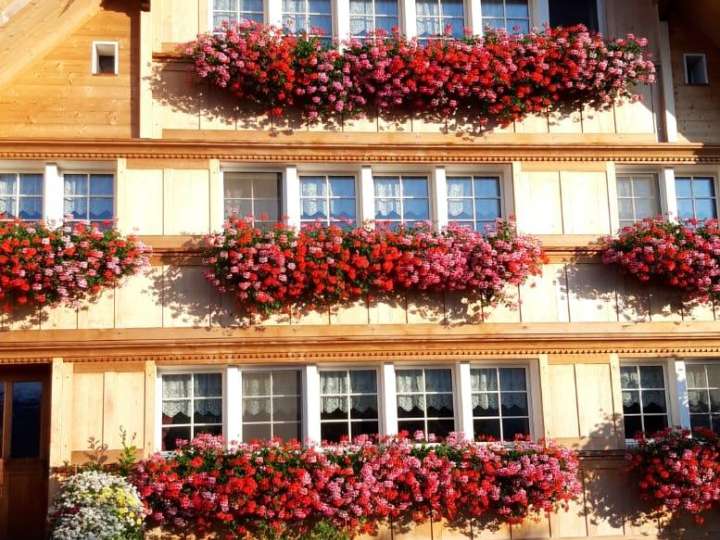 1. August-Brunch: Hof Knellwolf