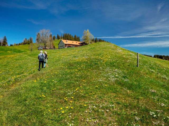 9 Tipps für Wanderungen im Appenzellerland