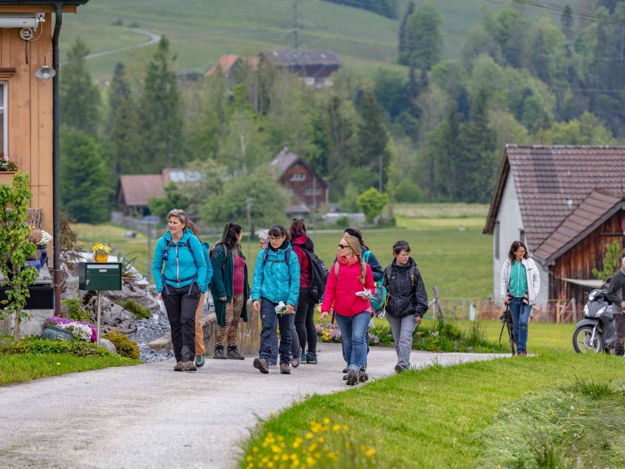 Geführte Wanderungen