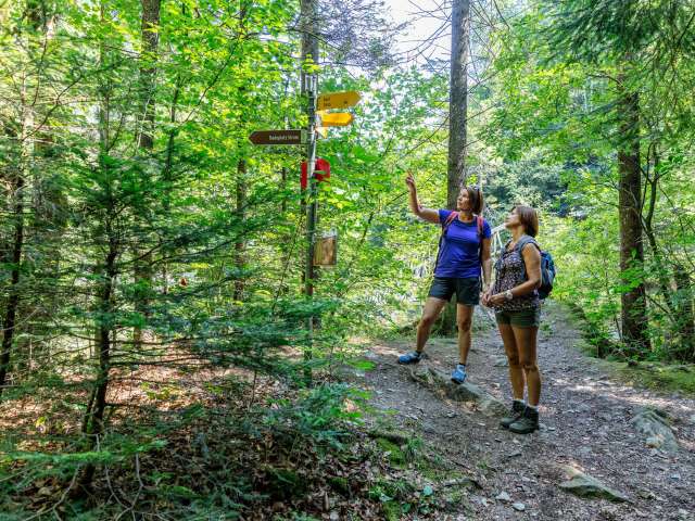 5. Signalisation beachten