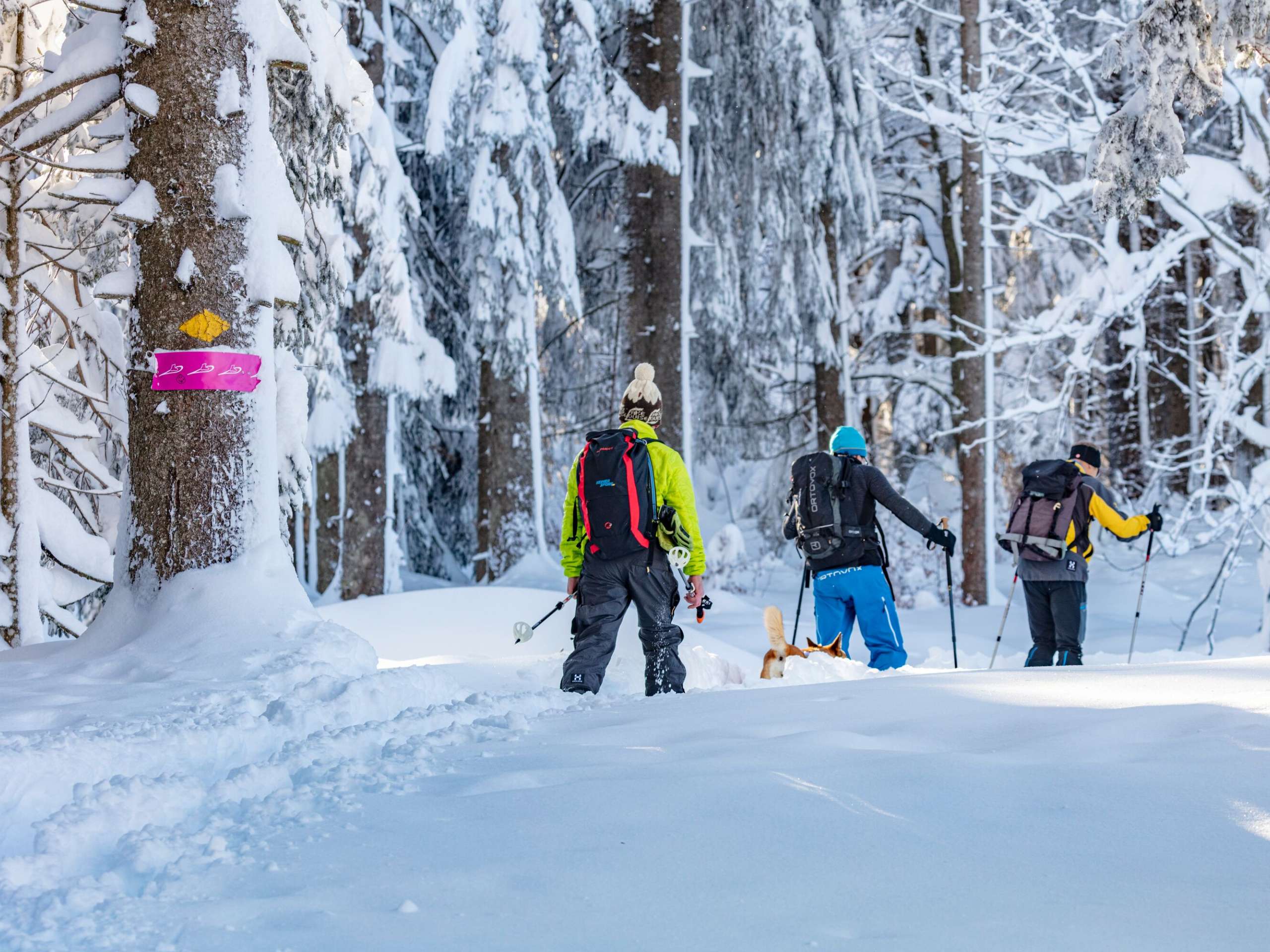 9 Schneeschuh-Routen