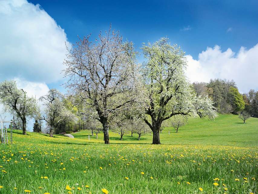 Erholung am Gübsensee