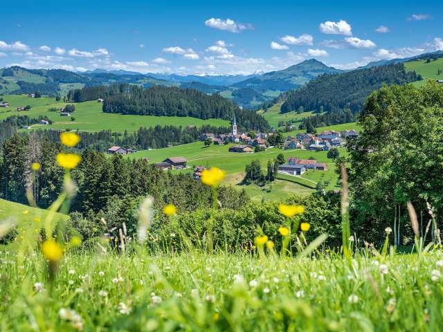 Herisauer Höhenzüge mit Weitsicht