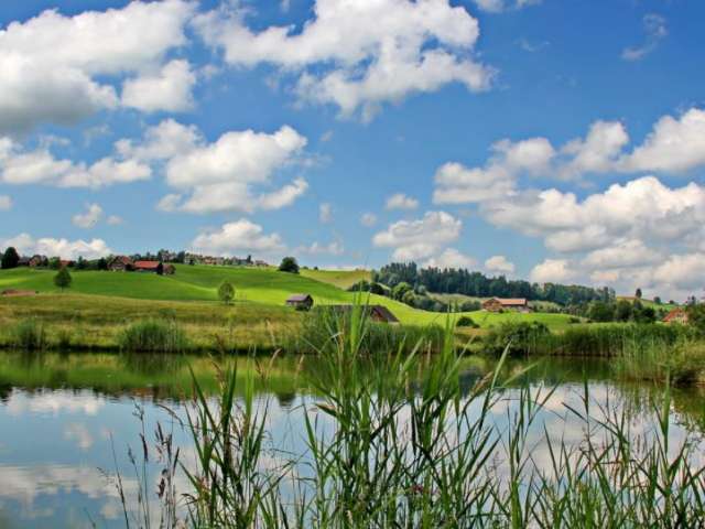 Mia's Forellen und Krebse