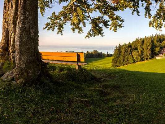 Der mit dem Seeblick