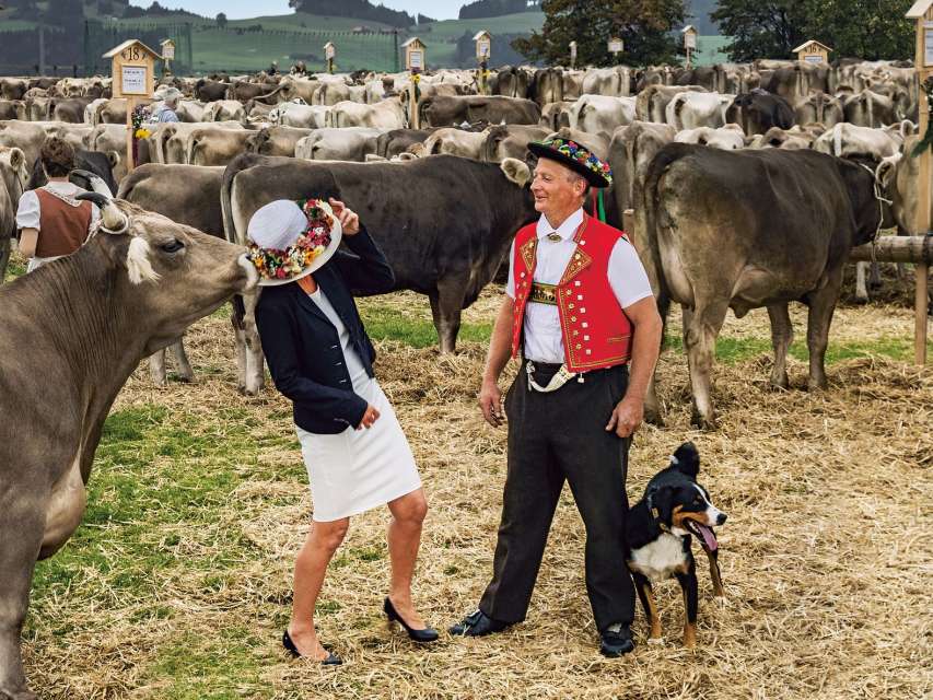 Partner-Veranstaltungen