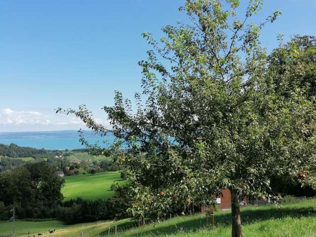 Heiden panoramic trail