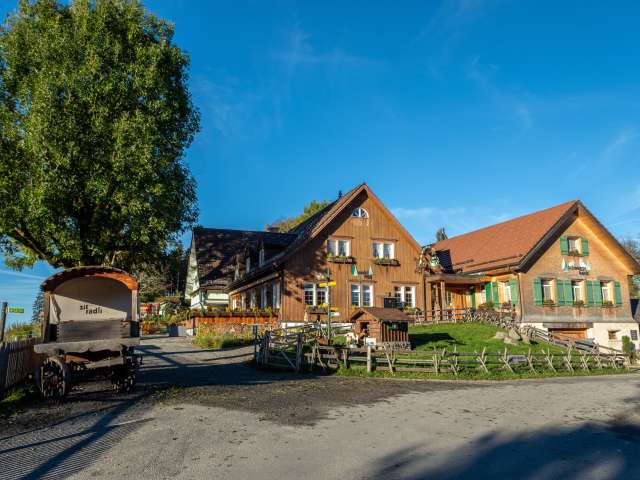 Waldegg Adventure - Experiences