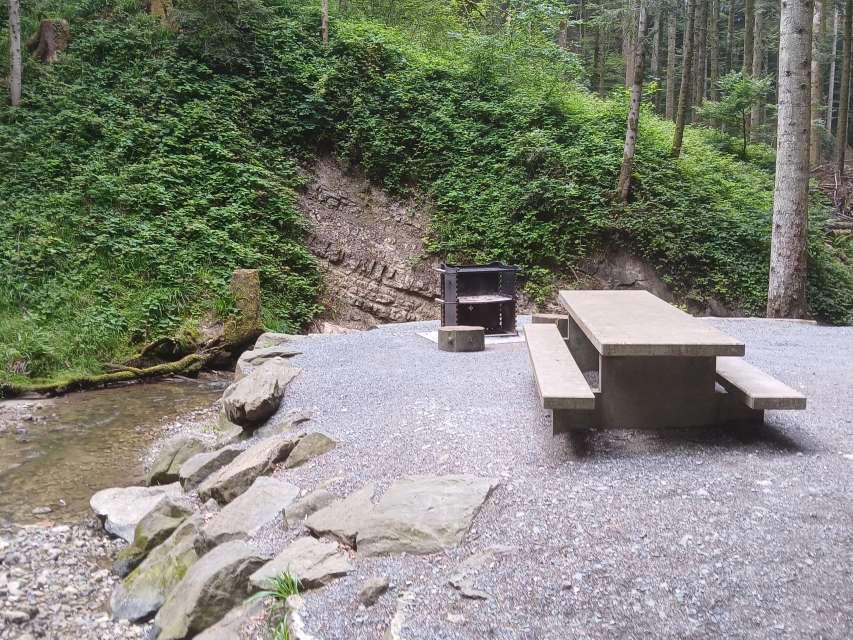 Fireplace Gaismühle
