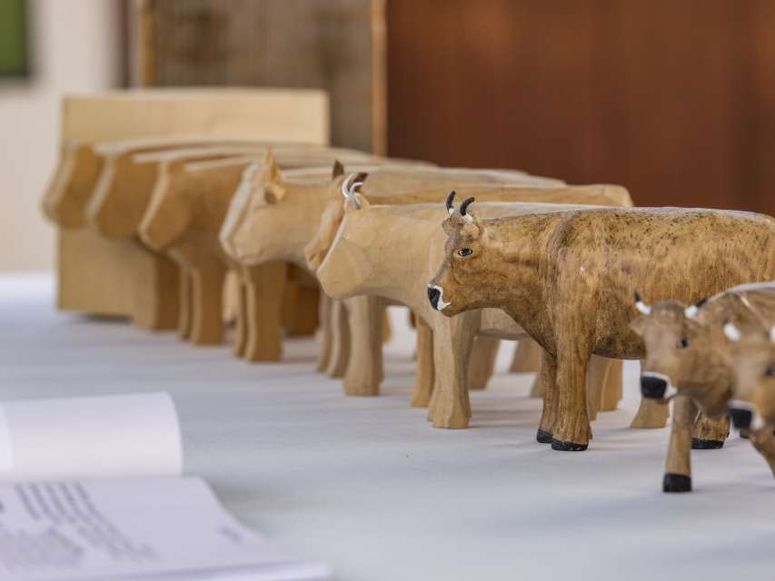 Verein für Handwerk und Kunst im Appenzellerland