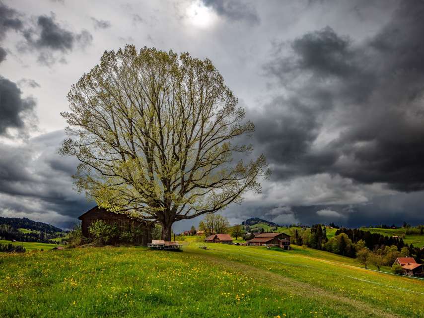 Schlechtwetter-Tipps