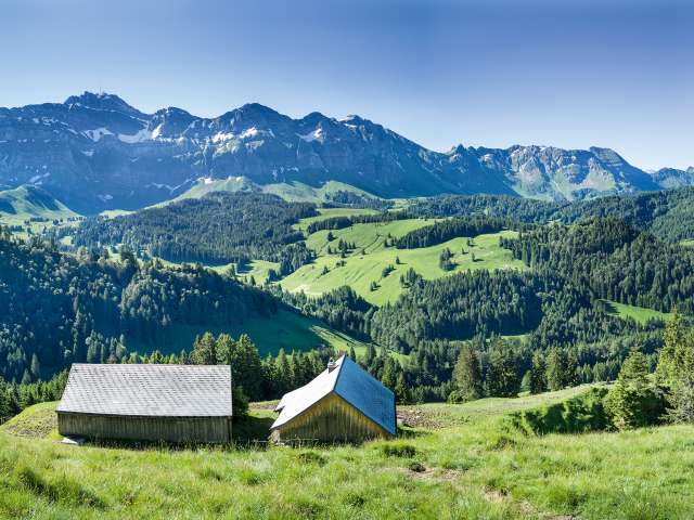 Rauf und Runter vor der Kulisse des Säntis