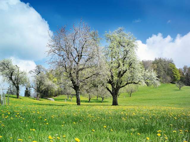 Zur Naherholung an den Gübsensee