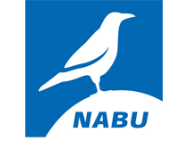 Nabu