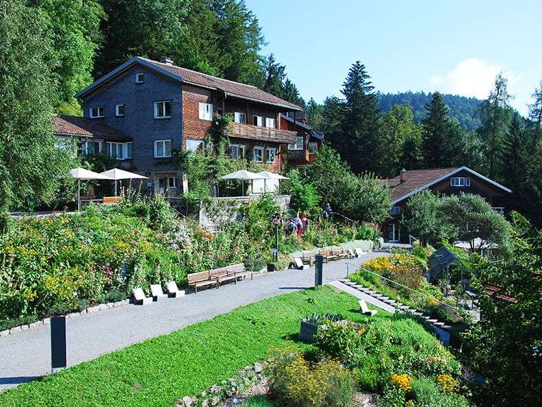 A. Vogel Heilpflanzen