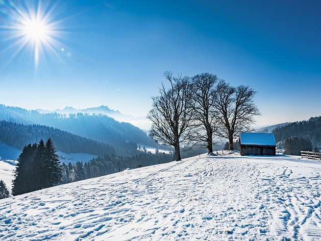 Hinauf auf die Wissegg