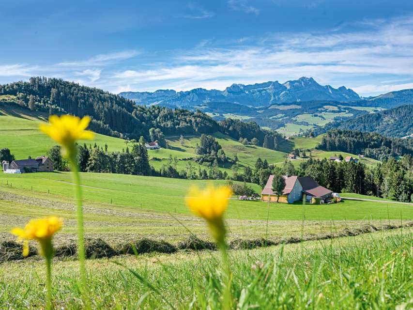 Herbstzeit ist Erntezeit