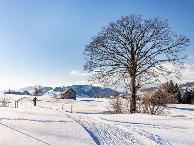 Cross-country skiing