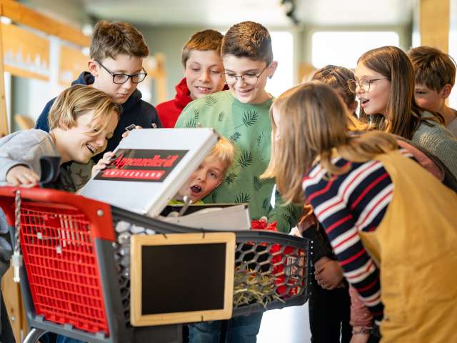 Appenzeller Schaukäserei