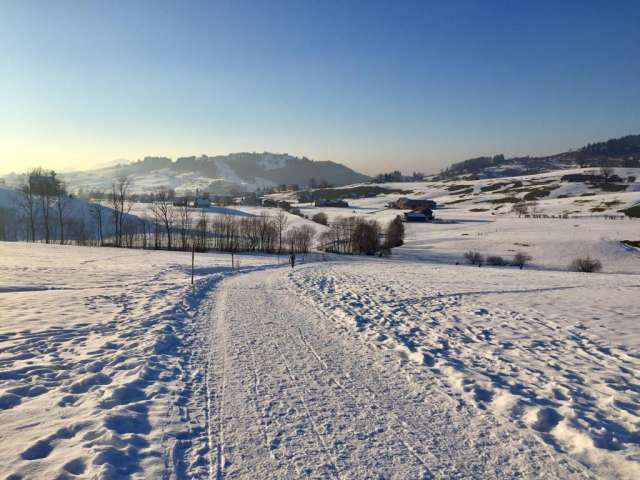 Winterwandern