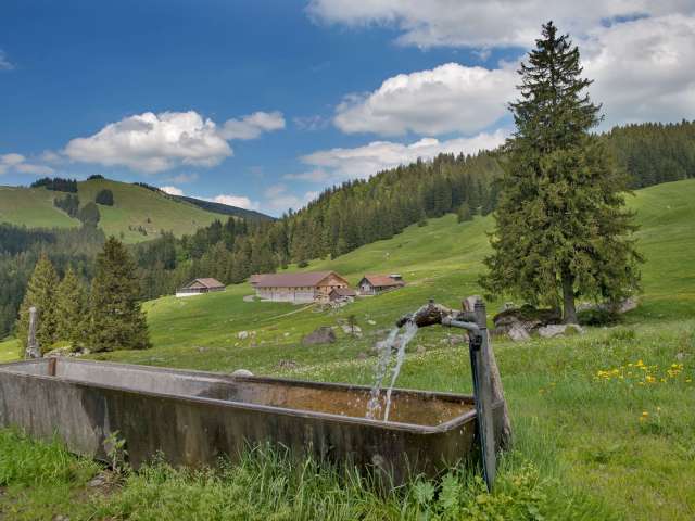 Rundtour Hundwiler Höhe