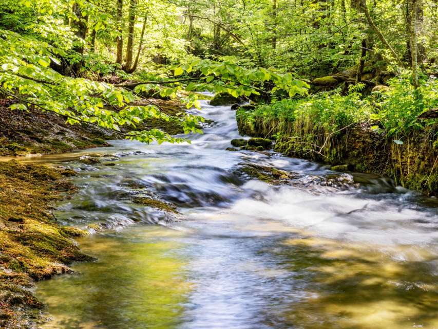 Bachwanderung Chastenloch