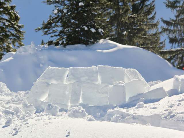 Construire un igloo soi-même