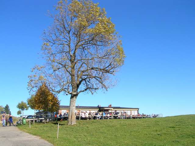 Über die Hohe Buche