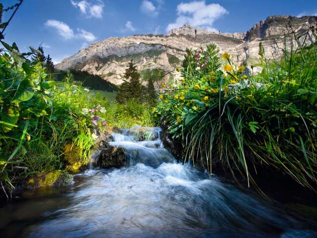 Säntis - NaturErlebnispark