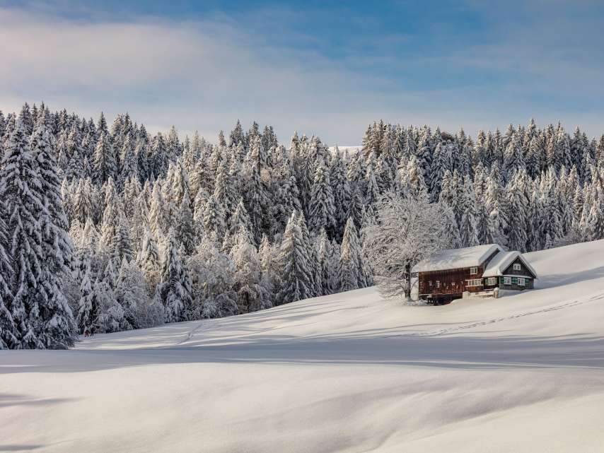 Tipps gegen die Wintermüdigkeit