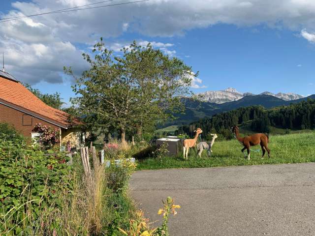 Windegg holiday apartment
