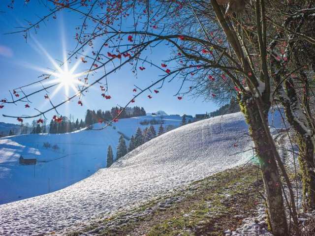 Liebliche Hügel mit Weitsicht