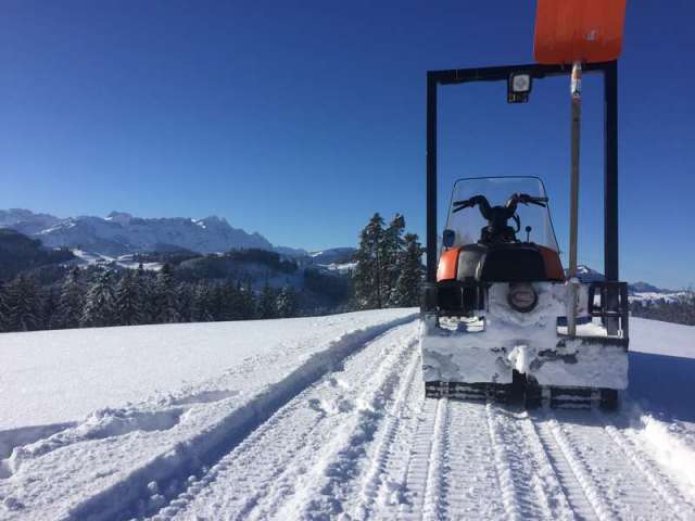 Die mit dem Weitblick