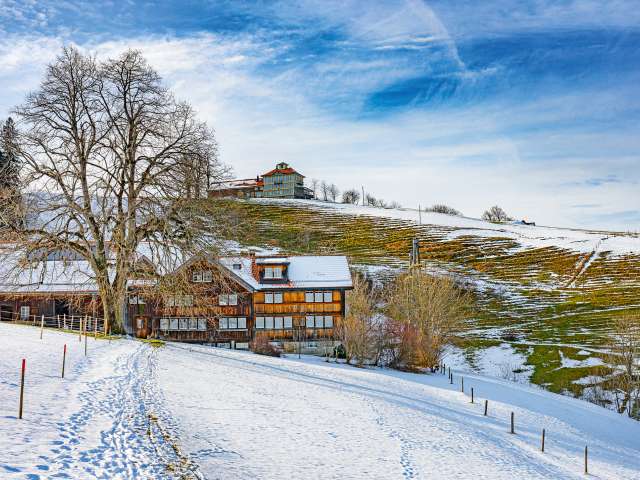 Von Kriegern, Molchen und Flachmooren