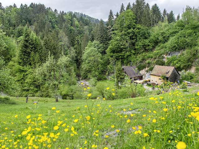 Von Trogen ins Chastenloch