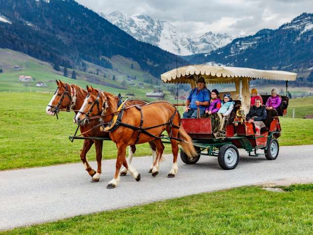 Promenades en calèche
