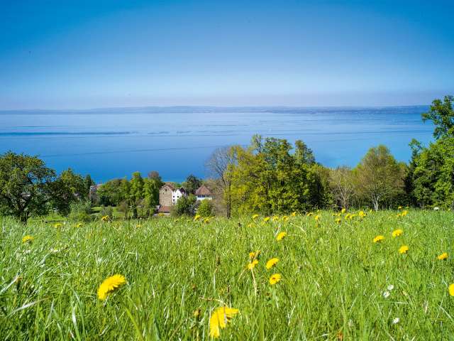 Höhenluft und Seeluft