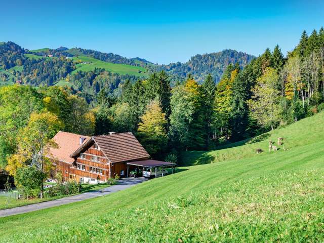 Herbstlaub und Sitzbänkli mit Fernsicht