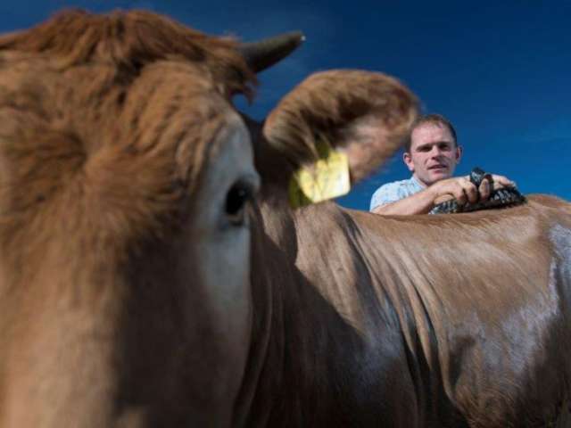Kabier - Besuch auf dem Hof