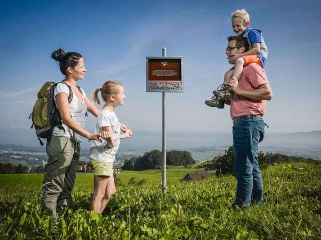 Rondom witzig onderwägs