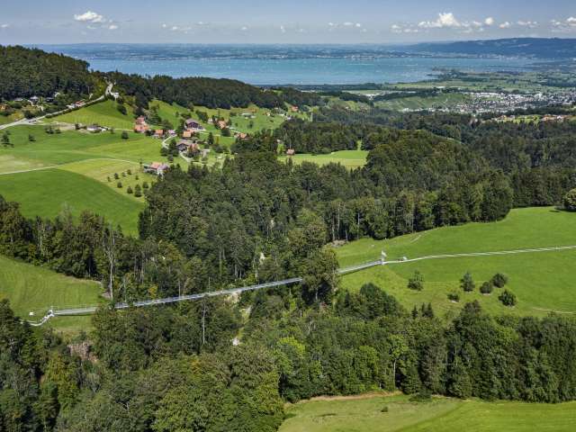 Pont suspendu de Grub